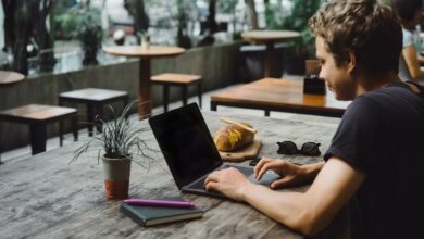 ۴۲ درصد از فریلنسرهای پونیشا از نسل Z هستند