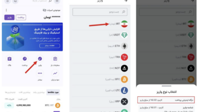 پنج گام مهم برای استقبال از همستر در نوبیتکس