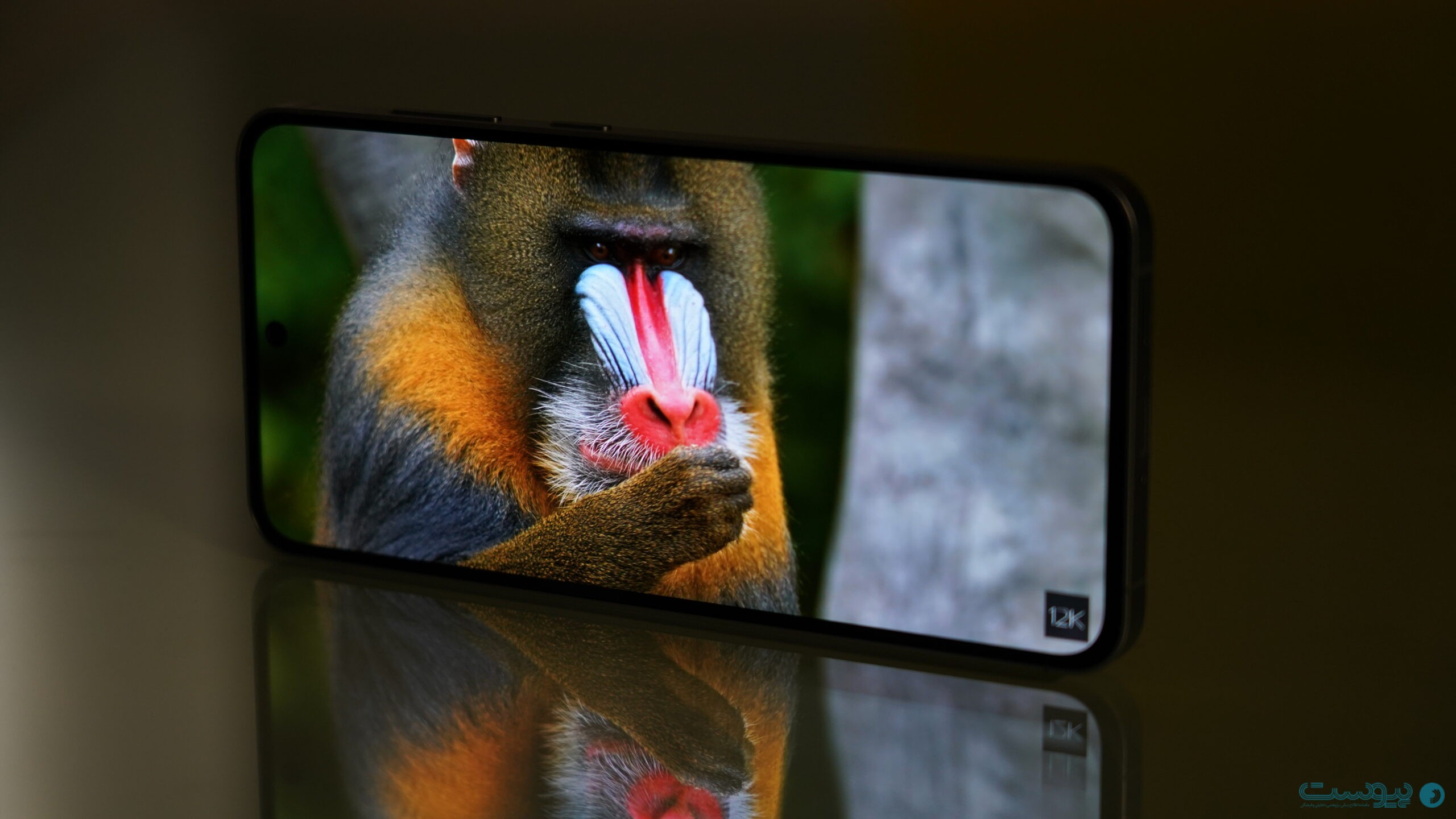 کیفیت نمایشگر S24fe