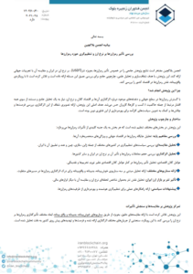 نتایج پژوهش تاثیر رمزارز و تتر بر نرخ ارز ایران؛ تتر آشکار کننده لحظه‌ای نرخ دلار بازار آزاد است