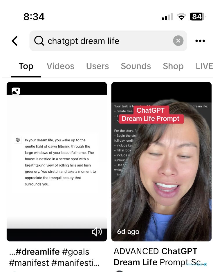 Chat GPT Dream Life 