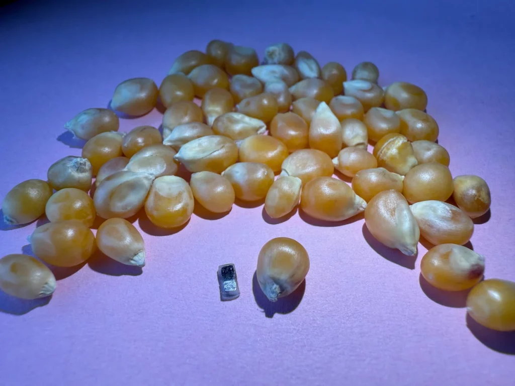 کوچک‌ترین ضربان‌ساز قلب جهان برای نوزادان ساخته شد – ITIRAN