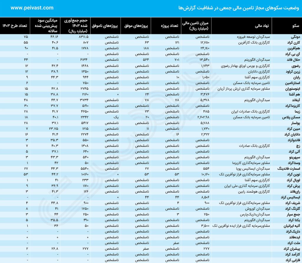 تامین مالی جمعی