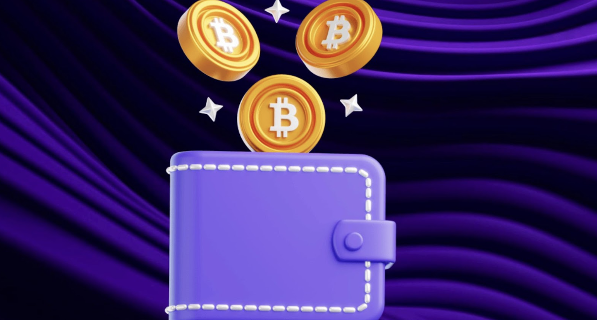 بهترین کیف پول ارز دیجیتال ایرانیان