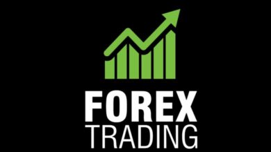 صفر تا صد ورود به فارکس؛ راهنمای جامع شروع فعالیت در بازارهای بین‌المللی!