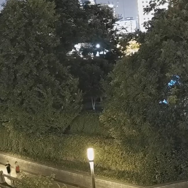 دید دوربین مداربسته دید در شب