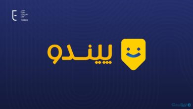 انجمن تجارت‌الکترونیک در واکنش به حکم پیندو: تعطیلی یک پلتفرم، مجازاتی فراتر از یک فرد است