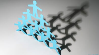 جایی که قانون فراموش می‌شود؛ سازمان‌ها از دل سایه‌ها سر برمی‌آورند