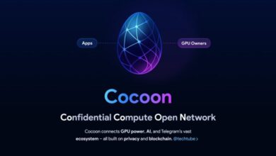 تلگرام از پلتفرم جدید Cocoon رونمایی کرد؛ شبکه‌ای برای پردازش هوش مصنوعی با حفظ حریم خصوصی – ITIRAN