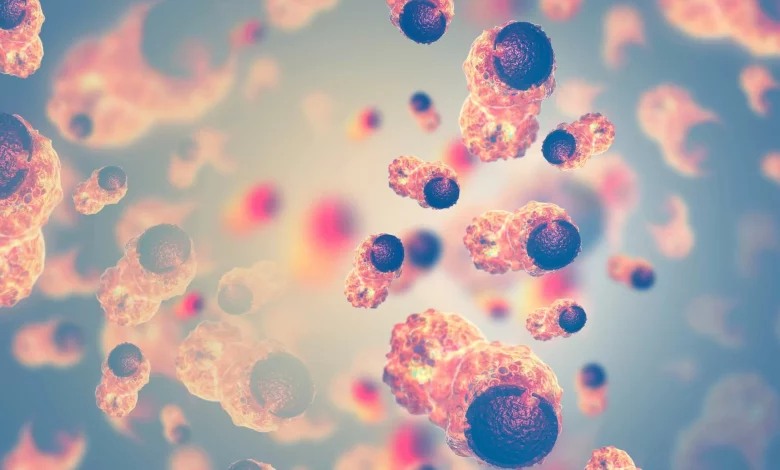 کشف باکتری قورباغه‌ای با درمان ۱۰۰ درصدی سرطان در موش‌ها