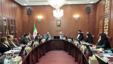 کارگروه محیط‌های آزمون با ادامه فعالیت موقت پلتفرم‌های آنلاین طلا موافقت کرد