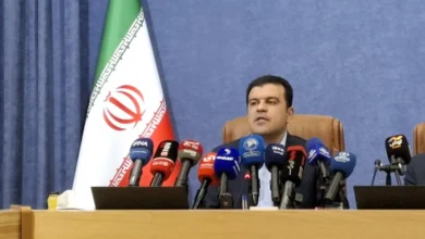 معاون علمی رئیس جمهور: بازگشایی اینترنت نیازمند طی مراحل فنی بود