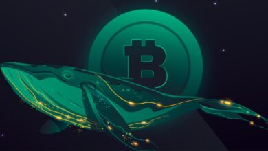 چطور از رفتار نهنگ‌ها برای پیش‌بینی روند بازار کریپتو استفاده کنیم؟