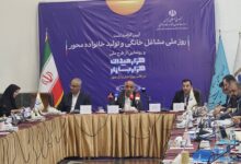 معاون امور زنان رئیس جمهور: توسعه کسب‌وکارهای خانگی بدون دسترسی به اینترنت امکان‌پذیر نیست