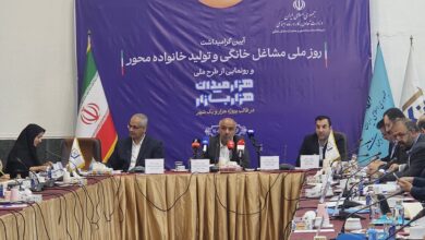 معاون امور زنان رئیس جمهور: توسعه کسب‌وکارهای خانگی بدون دسترسی به اینترنت امکان‌پذیر نیست