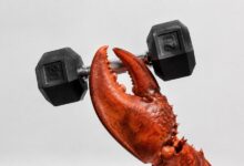 ایجنت هوش مصنوعیOpenClaw سیستم رزرو باشگاه را هک کرد