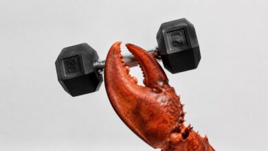 ایجنت هوش مصنوعیOpenClaw سیستم رزرو باشگاه را هک کرد