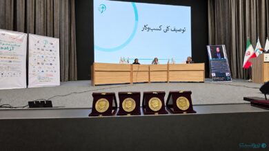تاب‌آوری جای رشد و جذب سرمایه را در ارزیابی استارت‌آپ‌ها گرفت