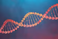 یک ژن انسانی هنوز می‌تواند در DNA جابه‌جا شود